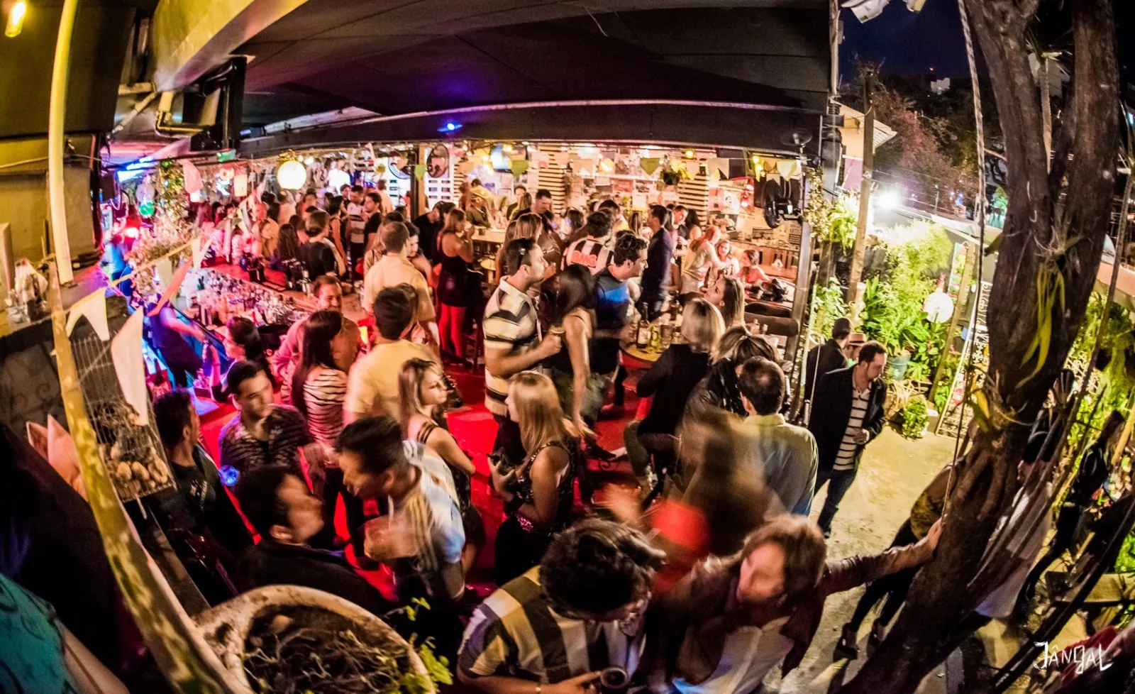 Ambiente lotado do Jângal à noite, com luzes coloridas e jardim ao fundo